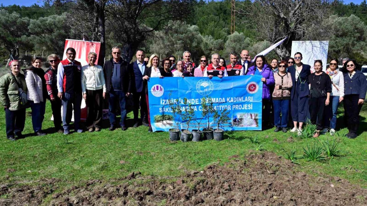 Yarımada Kadınları Sakız Ağacına Can Katıyor