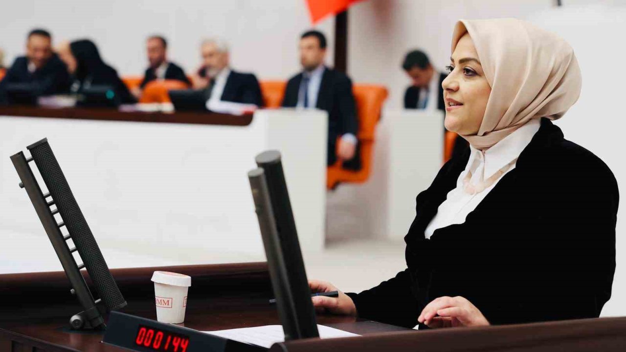 Milletvekili Ün; "İklim Yasasına Hayır Diyorum"