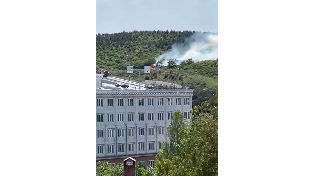 Arnavutköy’de Ormanlık Alanda Yangın