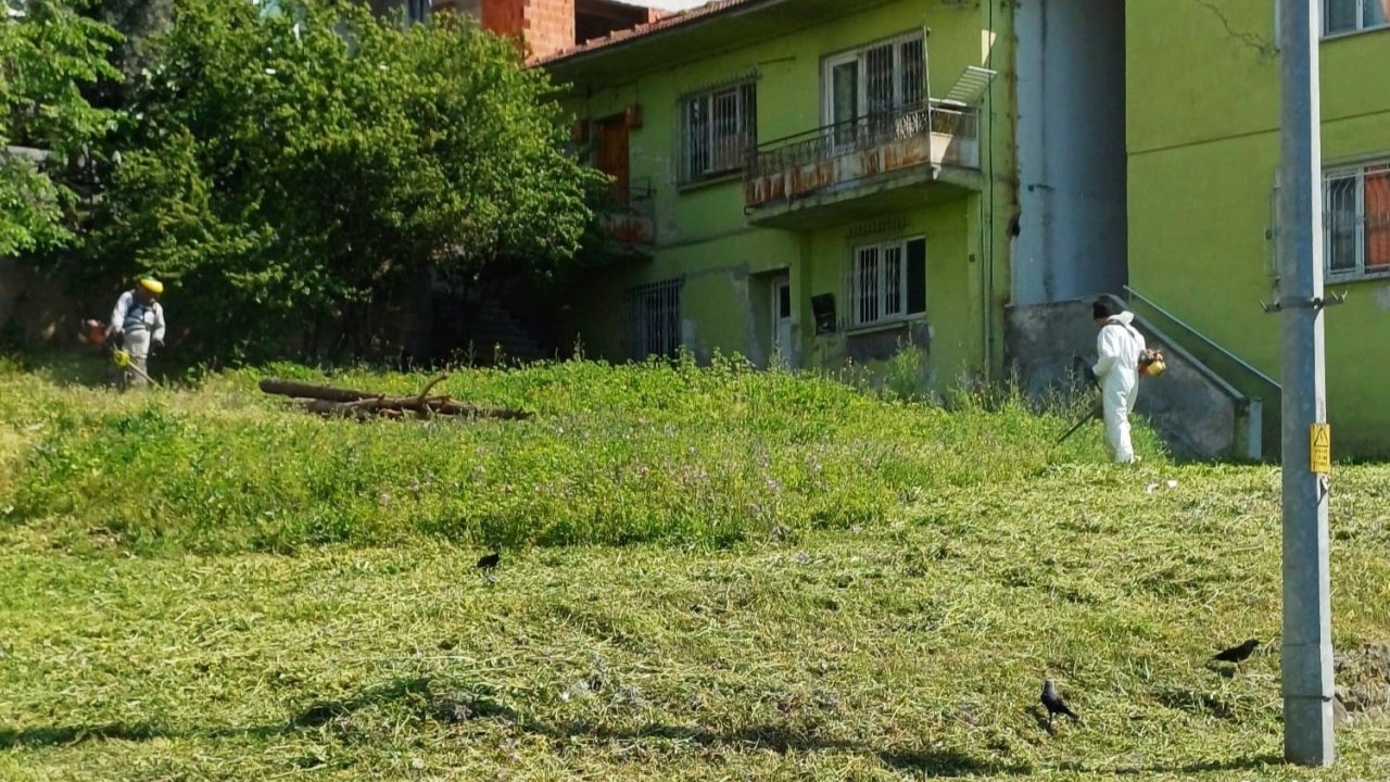 Körfez’de Yabani Otlarla Mücadele Sürüyor